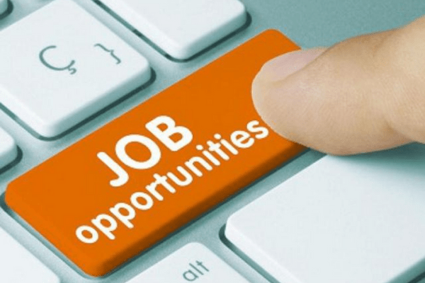 Tier-II cities drive hiring activity in August, shows Naukri.com jobs index 