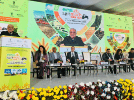 Need to shift towards green fuel-based technologies in agriculture in 5-10 years: Secretary, Ministry of Agriculture & Farmers